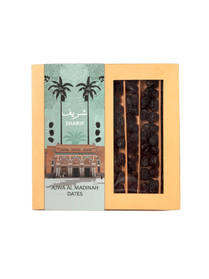 Holy Ajwa Jumbo Dates – Premium Quality from Madinah
